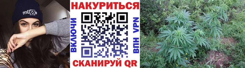 Наркошоп купить АМФЕТАМИН  МЕФ  APVP  ГАШИШ  Каннабис  Ивантеевка