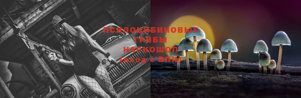 jwh Карталы