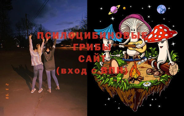 кокс Касимов