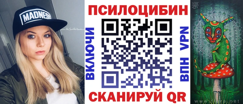 Купить Ивантеевка Псилоцибиновые грибы GOLDEN TEACHER